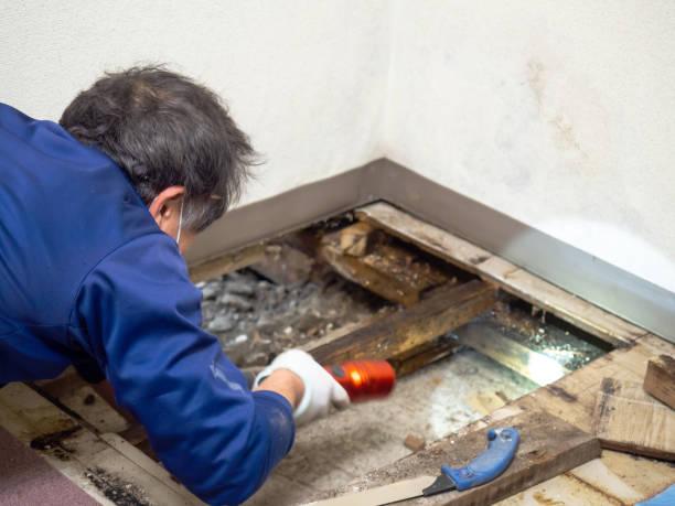 Best Water Damage Restoration  in Taft Mosswood, CA