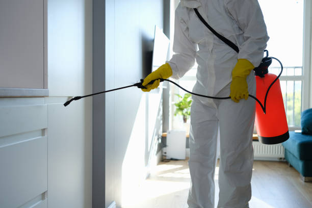 Best Mold Testing  in Taft Mosswood, CA