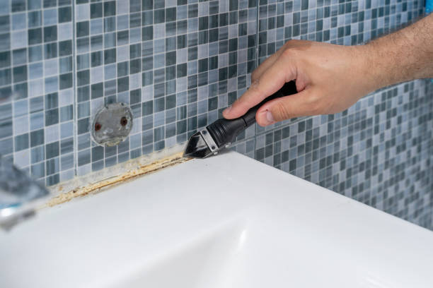 Best Home Mold Removal  in Taft Mosswood, CA