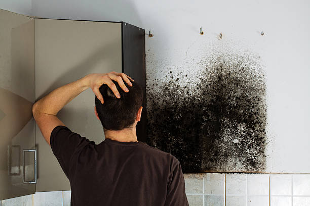 Best Local Mold Removal Service  in Taft Mosswood, CA