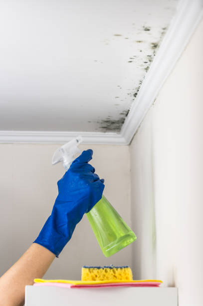 Best Mold Testing  in Taft Mosswood, CA