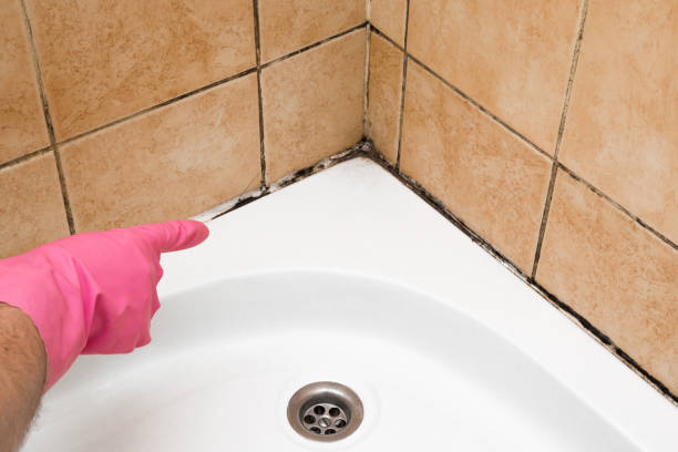 Best Mold Remediation  in Taft Mosswood, CA